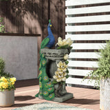 beautiful-peacock-spulture-next-to-a-home