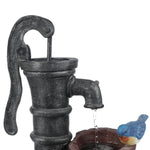 A black vintage-style water pump with water flowing from the spout into a basin, beside a small blue and orange bird figurine, brings rustic charm to any space—perfect as farmhouse outdoor fountain décor.