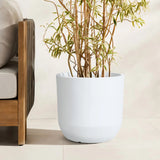 A potted plant with thin, tall stems and variegated leaves sits gracefully next to a wooden chair on a tiled floor, housed in a contemporary planter that complements the minimalist design of the space.