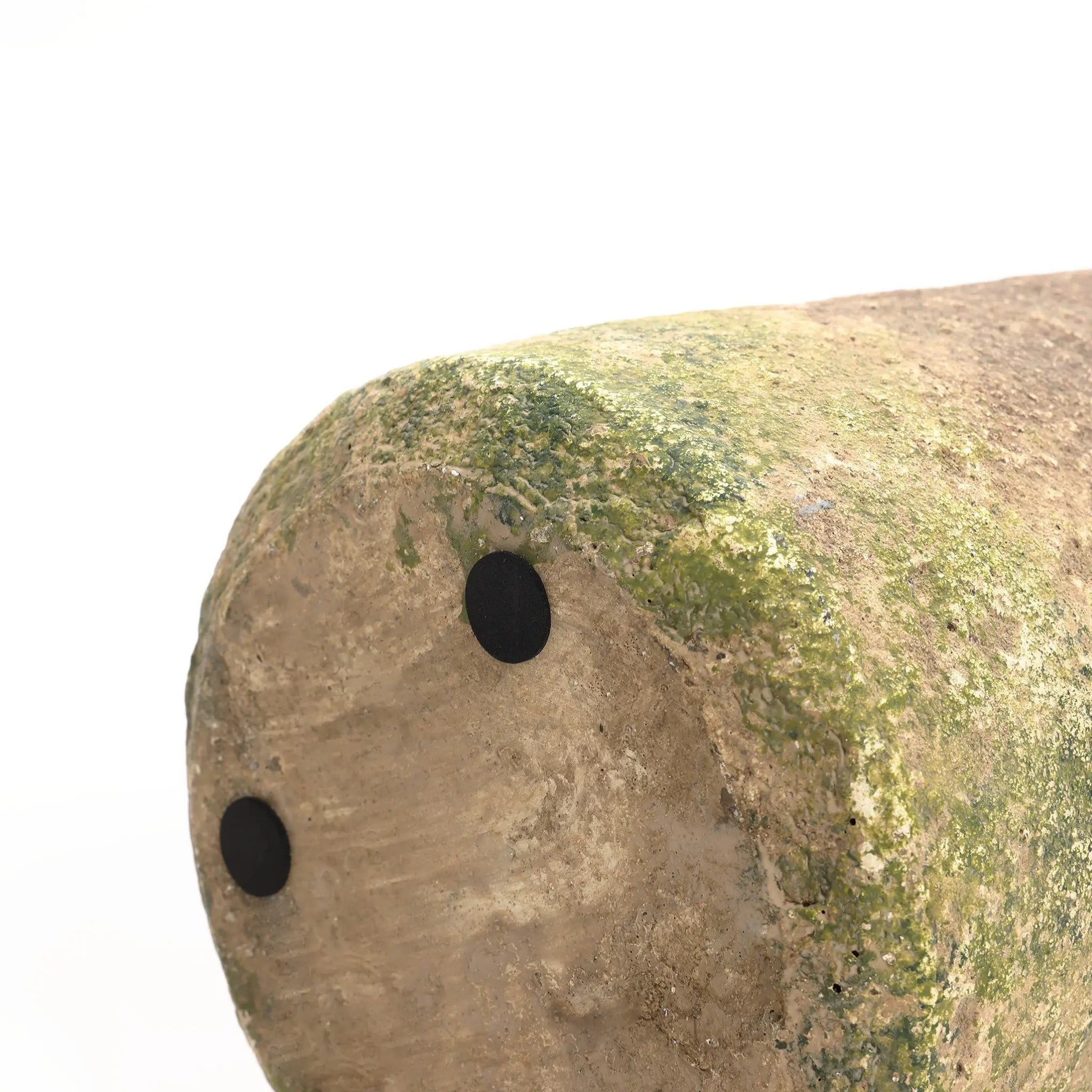 Close-up of the end of a rustic, moss-covered object with two black circular spots on its surface, set against a white background.