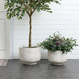 Two large white ceramic pots grace the gray tile floor, one with a small tree and the other bursting with green plants and purple flowers, against a white paneled wall. Their weather-resistant design speaks to retro minimalist decor, making them stylish yet practical.