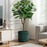 The LuxenHomes Jade green ribbed glazed ceramic planter, 13 h, with a tall plant and large glossy leaves adds vibrant beauty to a modern living room. Adjacent to a beige sofa and light wood cabinet, it flourishes in sunlight casting soft shadows, creating a true modern plant oasis.