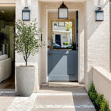 The front door of the house boasts a light blue hue and a rectangular window. Flanked by wall lanterns, a potted plant with efficient drainage holes complements the modern minimalist design on the tiled path.