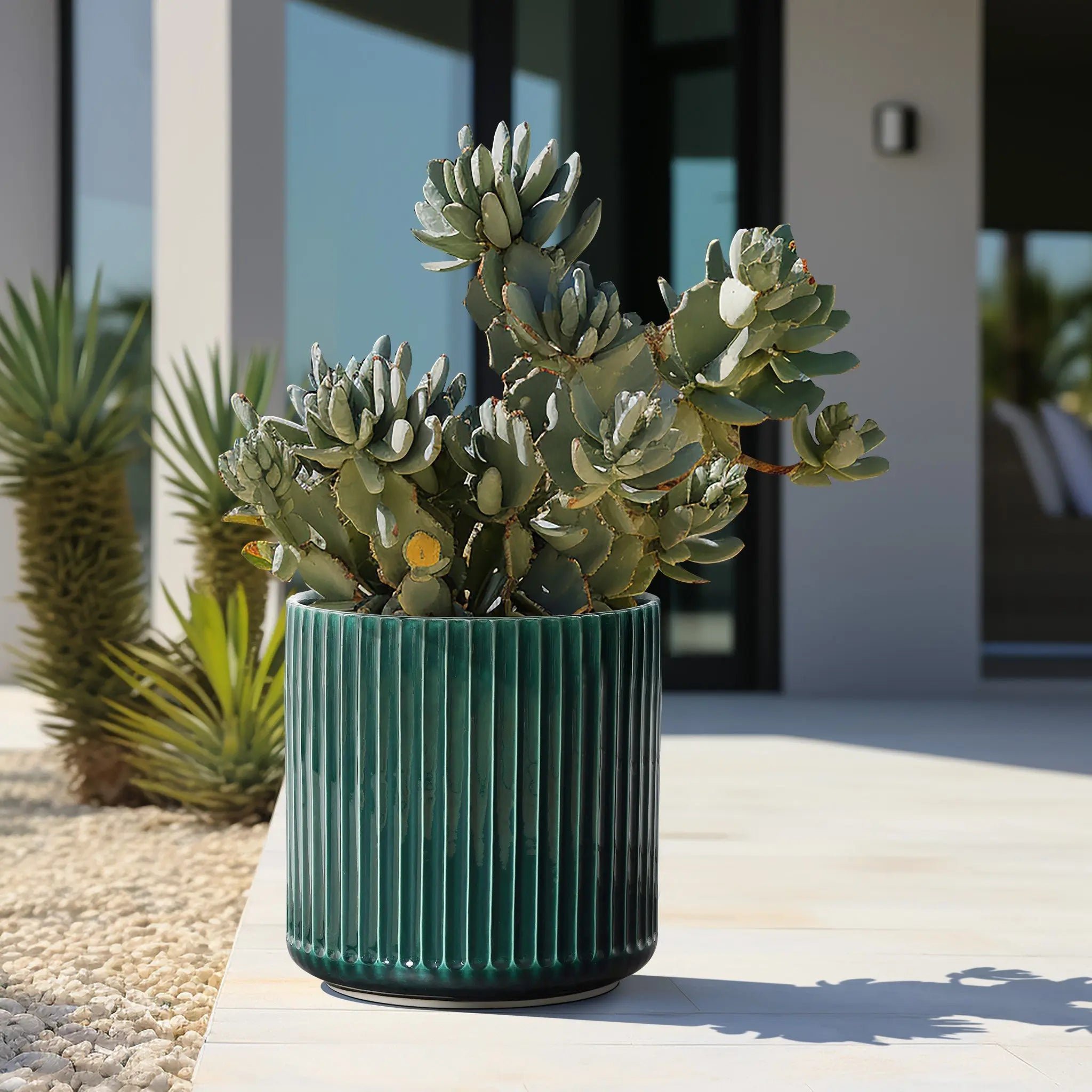 A LuxenHome Jade green ribbed glazed round ceramic planter, 13 h, with a succulent sits on a sunlit patio. Its textured charm complements architectural details and additional plants, including another succulent by a window, creating a modern plant paradise.