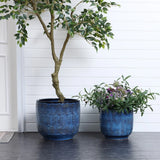Two LuxenHome Ocean blue glazed round ceramic planters rest on a dark floor against a white paneled wall. The left one contains a tall tree with green leaves, while the right one showcases flowering plants with purple and white blooms.