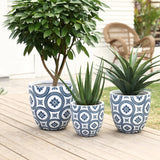 Three modern planters in blue and white patterns sit on a wooden deck, each cradling a diverse plant: a tree, a succulent, and one with long, pointed leaves. A wicker chair provides background charm to this serene setting.