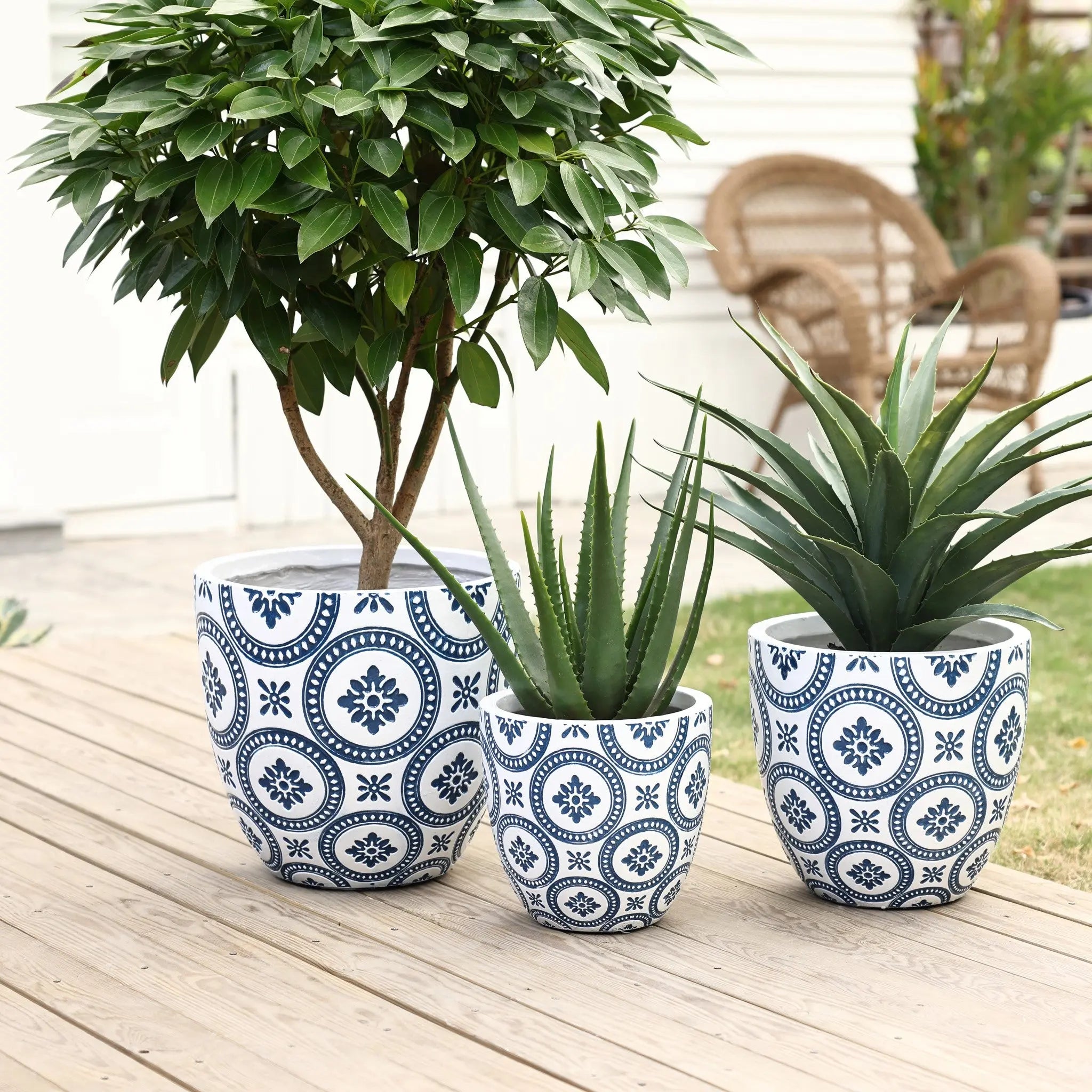 Three modern planters in blue and white patterns sit on a wooden deck, each cradling a diverse plant: a tree, a succulent, and one with long, pointed leaves. A wicker chair provides background charm to this serene setting.