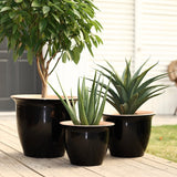 A decorative set featuring three black planter pots with various plants, including a tree and two succulents, elegantly arranged on a wooden deck for both indoor and outdoor use.