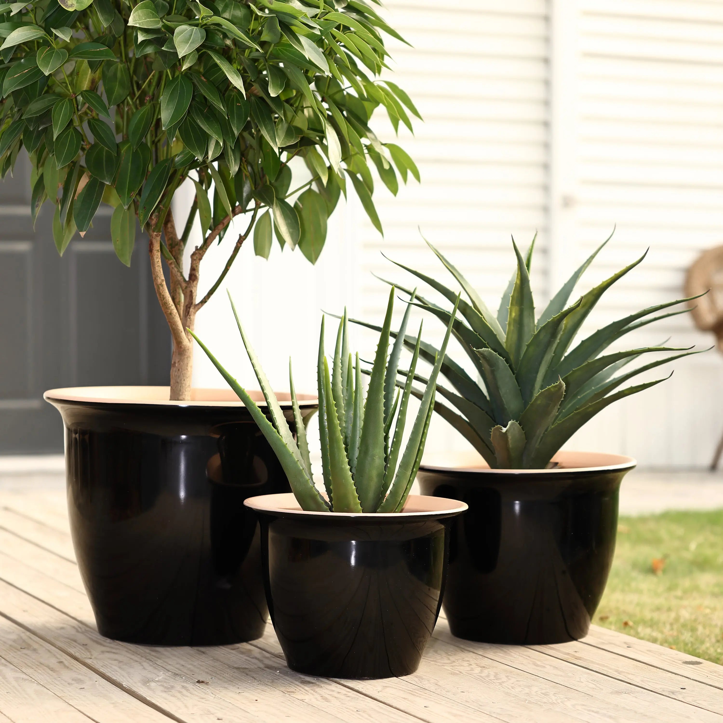 A decorative set featuring three black planter pots with various plants, including a tree and two succulents, elegantly arranged on a wooden deck for both indoor and outdoor use.