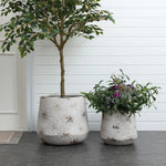 Two textured white planters in a vintage minimalist style: one is round with a tall leafy tree, the other displays assorted flowering plants. Crafted from MgO material, they rest on a dark tiled floor against a white paneled wall near a door.