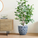 A tall green plant in a decorative blue and white tapered planter with MgO material sits next to a wooden cabinet adorned with books and a glass bowl, set against an off-white wall.