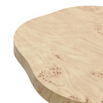 Rici burl wood finish round end table - LuxenHome