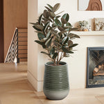A potted rubber plant with broad, dark green leaves sits in a stylish planter beside the fireplace, enhancing the modern living rooms aesthetic with its wooden flooring. Perfect for both indoor and outdoor environments.