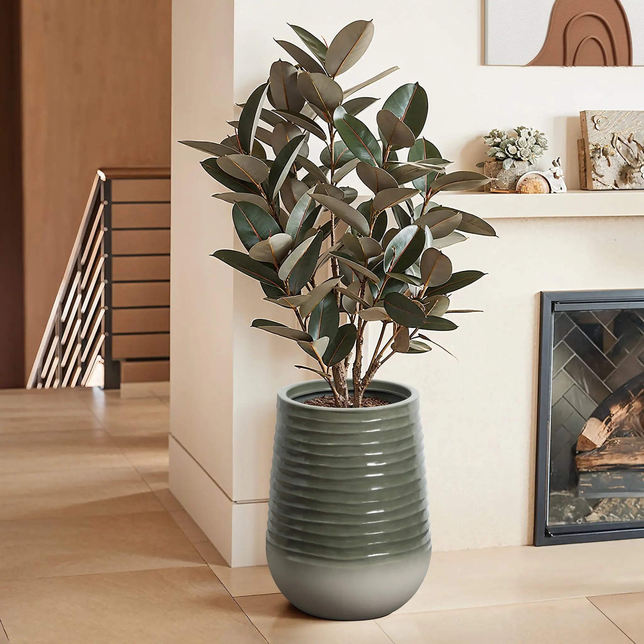 A potted rubber plant with broad, dark green leaves sits in a stylish planter beside the fireplace, enhancing the modern living rooms aesthetic with its wooden flooring. Perfect for both indoor and outdoor environments.