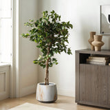 A potted tree with green leaves graces a marble texture planter beside a wooden cabinet adorned with decorative items and books. Natural light filters through the window on the left, creating a serene atmosphere.