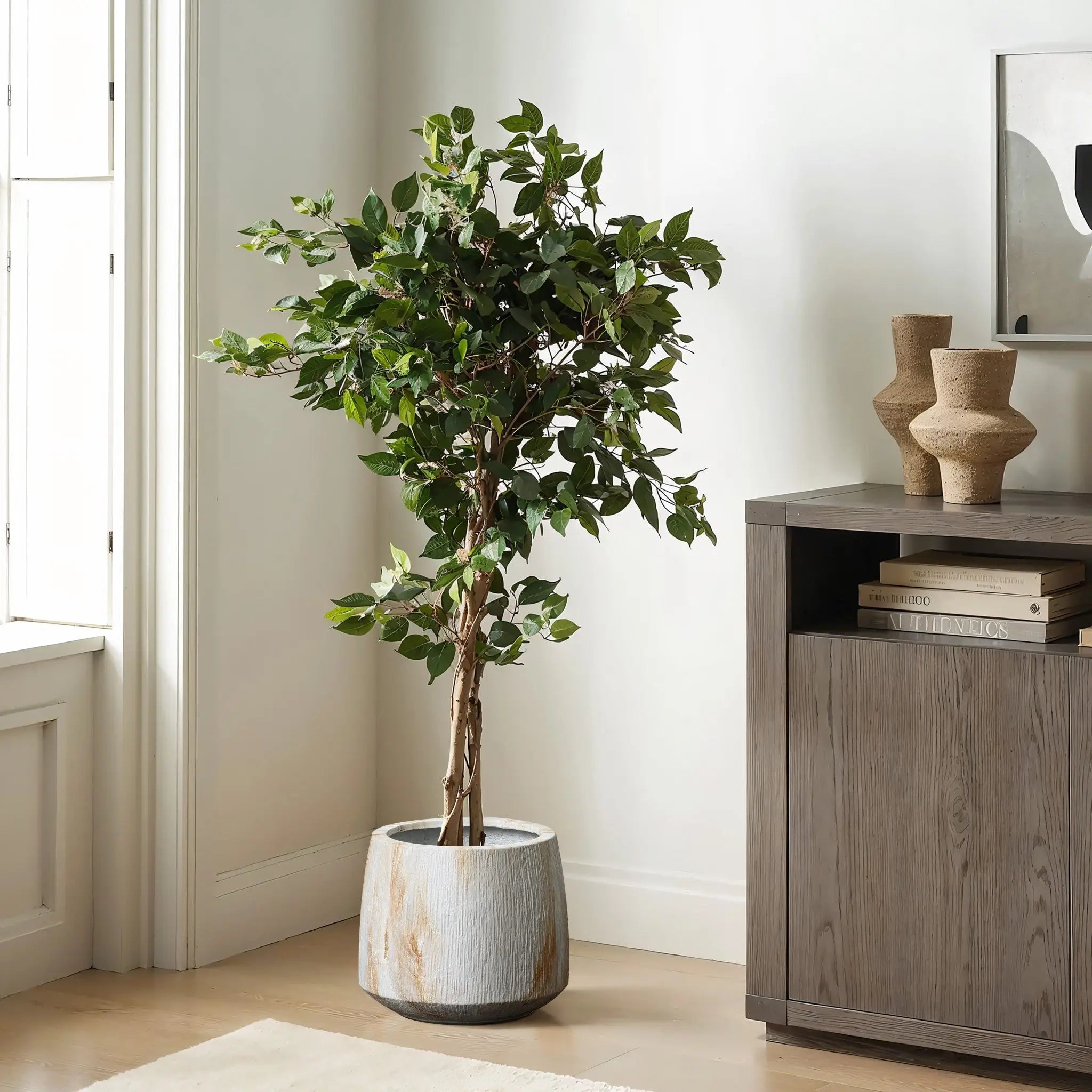A potted tree with green leaves graces a marble texture planter beside a wooden cabinet adorned with decorative items and books. Natural light filters through the window on the left, creating a serene atmosphere.