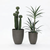 Two potted plants: on the left, a tall cactus with round sections; on the right, a tall leafy plant with narrow leaves. Both in a durable planter set featuring sleek gray pots that complement the plants beautifully.