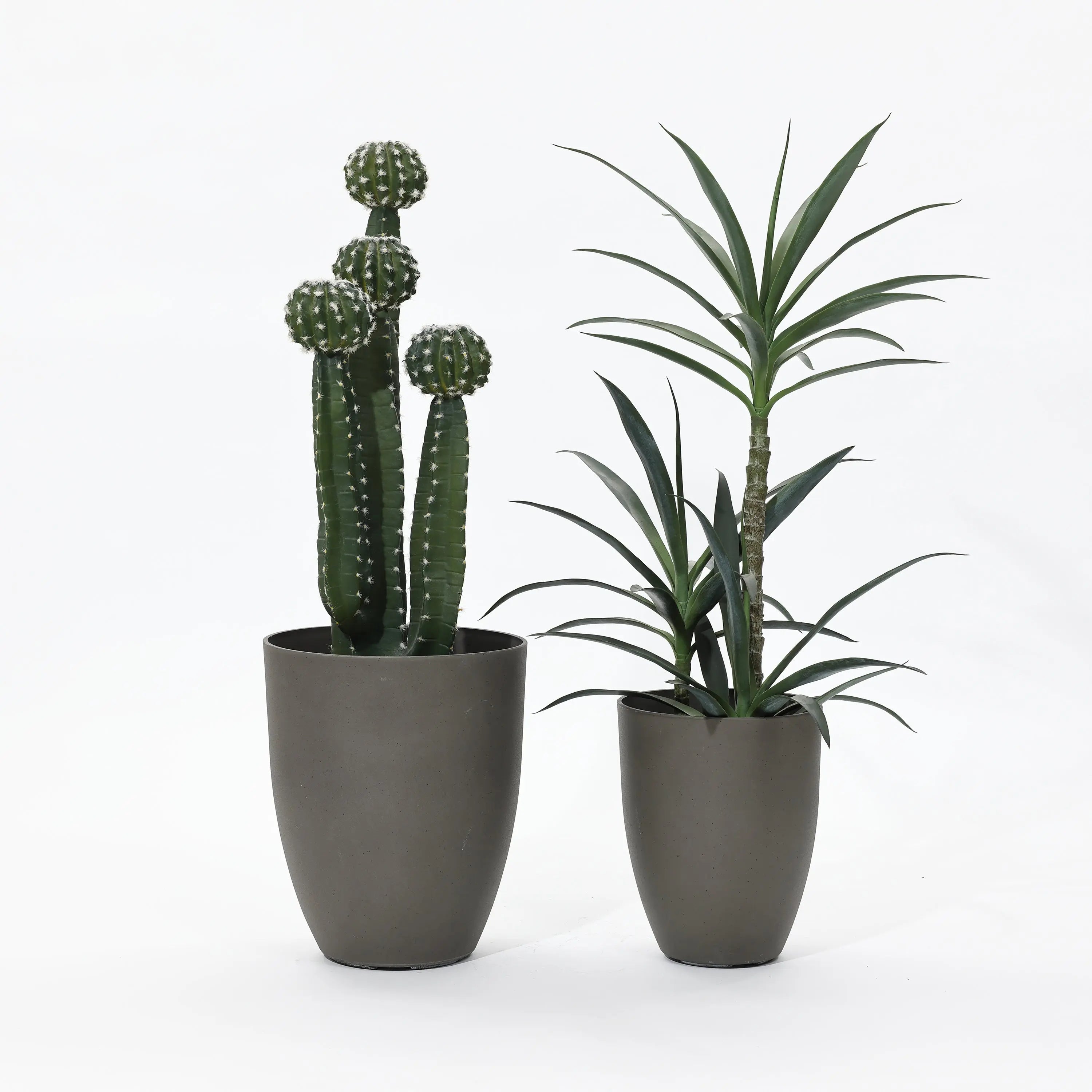 Two potted plants: on the left, a tall cactus with round sections; on the right, a tall leafy plant with narrow leaves. Both in a durable planter set featuring sleek gray pots that complement the plants beautifully.