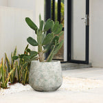 A large cactus in a LuxenHome Rustic Multi-Color Cement 14-Inch Round Planter sits on a modern stone tile patio. In the backdrop, there is a sleek glass door and a wall with another plant growing alongside it, adding depth to the scene.