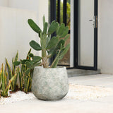 A large cactus in a LuxenHome Rustic Multi-Color Cement 14-Inch Round Planter sits on a modern stone tile patio. In the backdrop, there is a sleek glass door and a wall with another plant growing alongside it, adding depth to the scene.