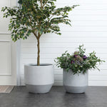 Two gray planters crafted from high-quality MGO material rest on a dark floor; the left holds a tall leafy tree, while the right contains a variety of flowering plants. A backdrop of white paneled walls accentuates their modern minimalist design.