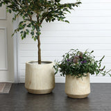 Two beige indoor outdoor planters sit on a tiled floor, one with a potted tree and the other with a flowering plant featuring green foliage and purple blooms, set against a white paneled wall. The scene evokes the charm of a succulent garden in any space.