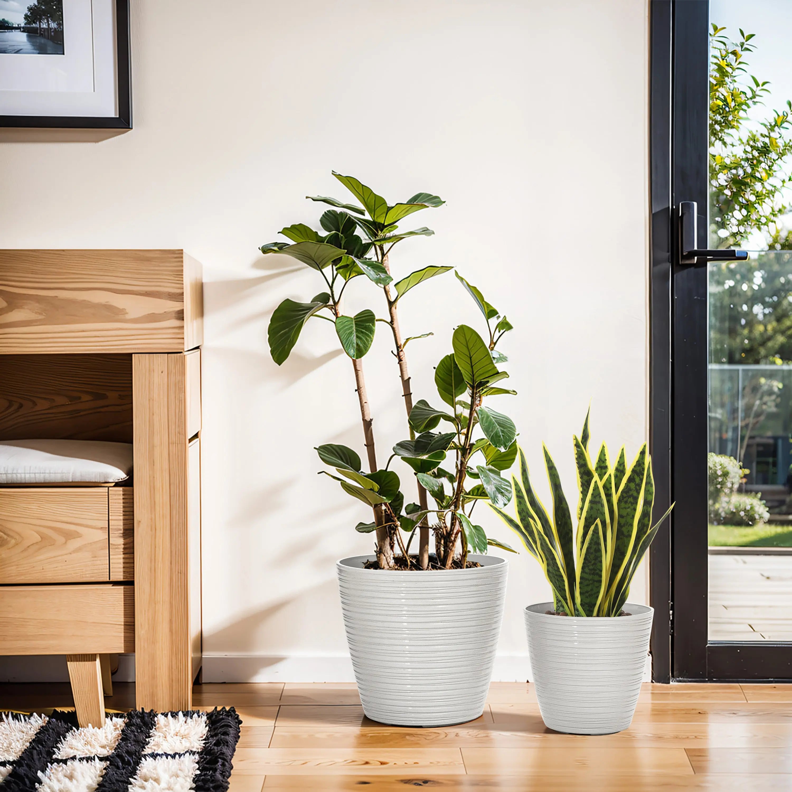Two potted plants, one tall with large leaves and one shorter with pointy leaves, sit in decorative planters next to a wooden desk and a glass door in a bright room.