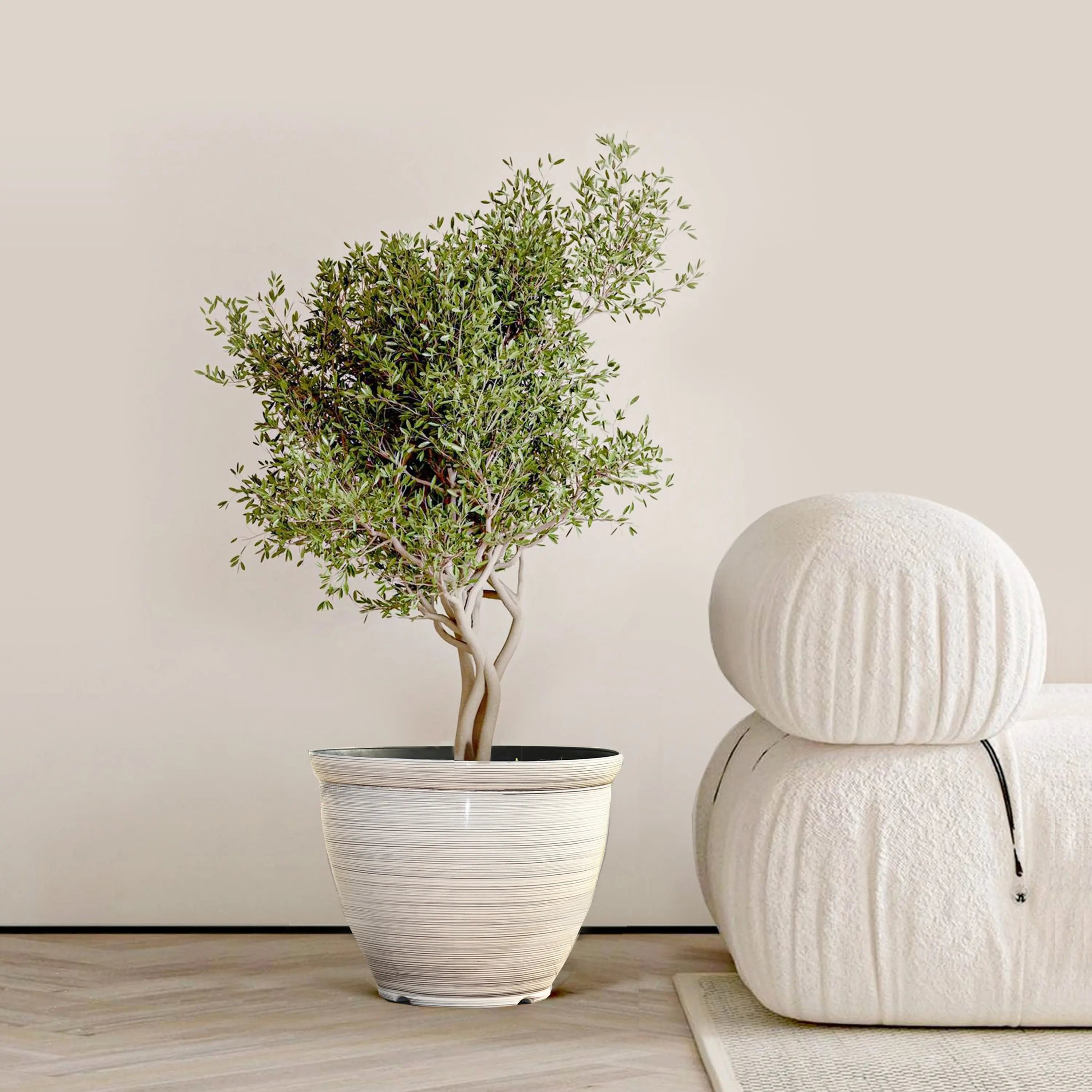 A potted indoor plant with green leaves stands in a contemporary planter beside a textured, white modern chair in a minimalist room.