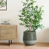 A leafy green plant luxuriates in a ribbed gray planter with a drainage hole beside a wooden cabinet on a light wood floor. The cabinet holds books and a glass bowl, seamlessly blending indoor and outdoor environments.