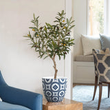 Potted olive tree with green leaves and small olives in a decorative blue and white modern planter on a wooden side table, near a blue chair and patterned chair in a bright room. The planter includes a drainage hole for optimal plant health.