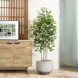 A tall, leafy potted plant in a white and gray planter stands on a wooden floor next to a wooden cabinet adorned with artwork. To the right, vertical blinds cover a glass panel, enhancing the retro minimalist decor of the room.
