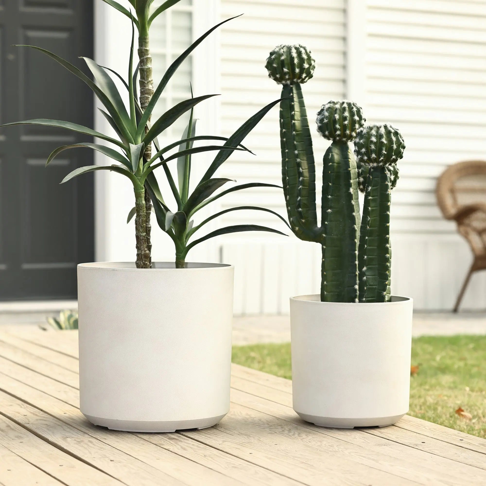 Two potted plants on a wooden deck include a tall leafy plant in a large, contemporary planter and a smaller cactus in a durable, medium pot. A wicker chair and part of the house provide an inviting backdrop.