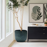A tall potted plant with slender branches sits by a large window in a minimalist room, nested in a LuxenHome Marina gray glazed round ceramic planter (13.98 h). Above the dark sideboard hang two framed abstract botanical prints, completing the green and black decor theme.