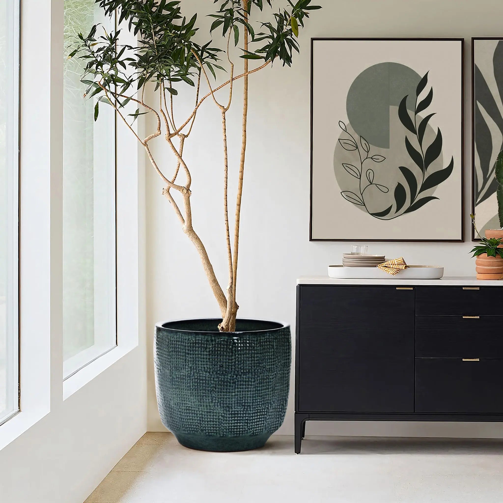 A tall potted plant with slender branches sits by a large window in a minimalist room, nested in a LuxenHome Marina gray glazed round ceramic planter (13.98 h). Above the dark sideboard hang two framed abstract botanical prints, completing the green and black decor theme.