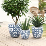 Three potted plants sit on a wooden deck in tapered planters with a white and blue patterned design. A small tree, an aloe plant, and a succulent thrive in the pots. A wicker chair is in the background, completing this serene garden scene.