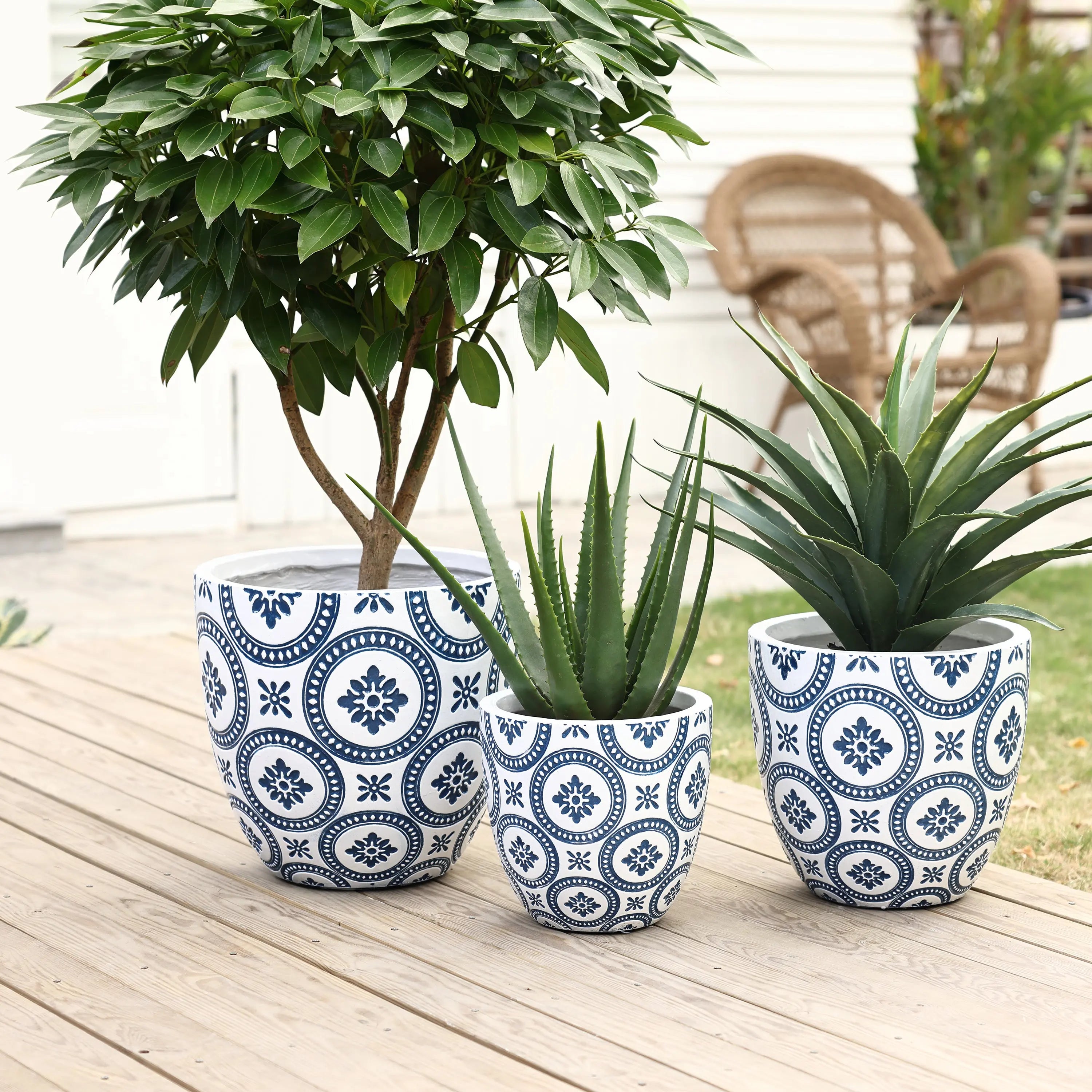 Three potted plants sit on a wooden deck in tapered planters with a white and blue patterned design. A small tree, an aloe plant, and a succulent thrive in the pots. A wicker chair is in the background, completing this serene garden scene.