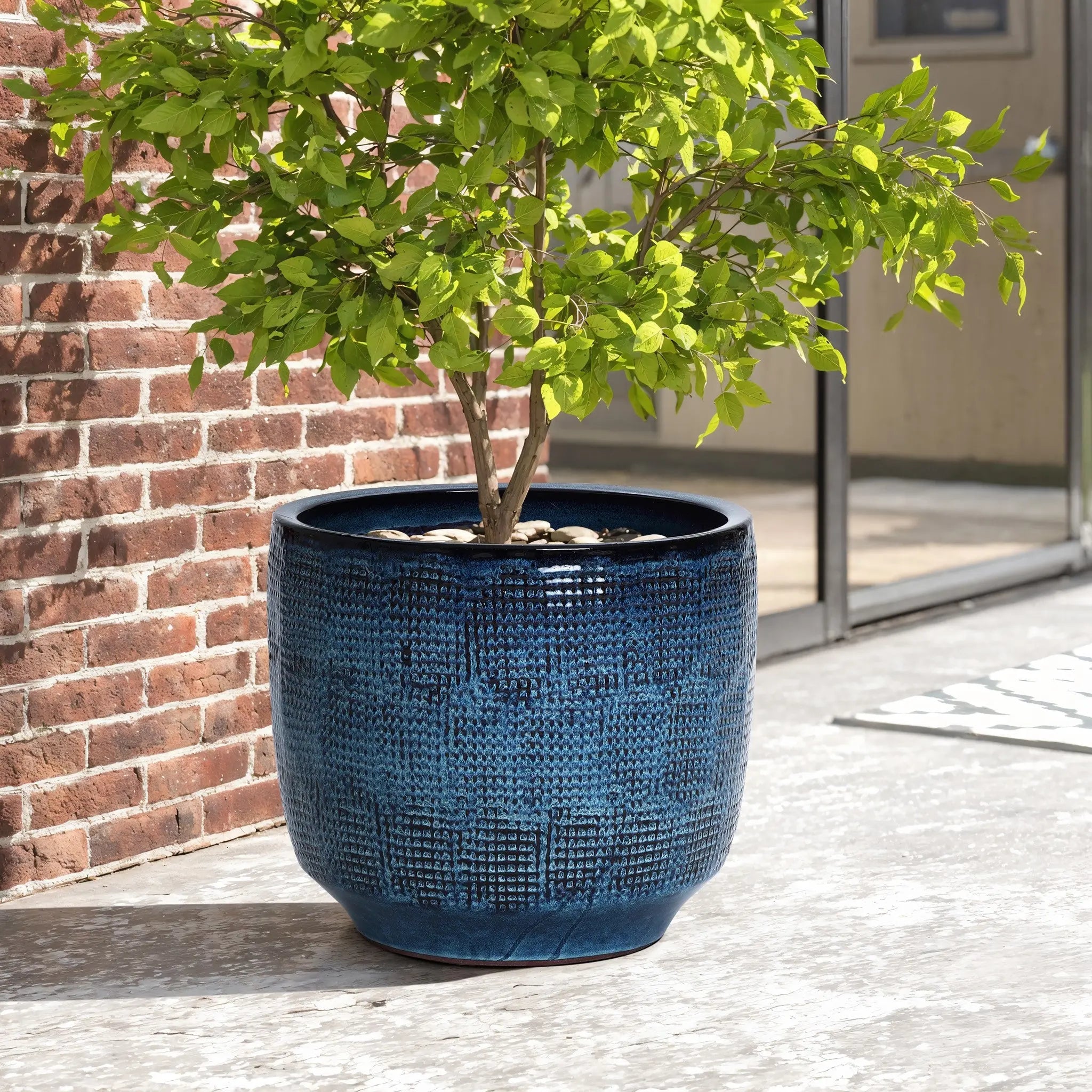 A leafy green tree is planted in a large, high-quality LuxenHome Ocean blue glazed round ceramic planter, 13.98 h. It rests on a gray concrete surface beside a brick wall. A glass window and door in the background reflect the serene outdoor scene.