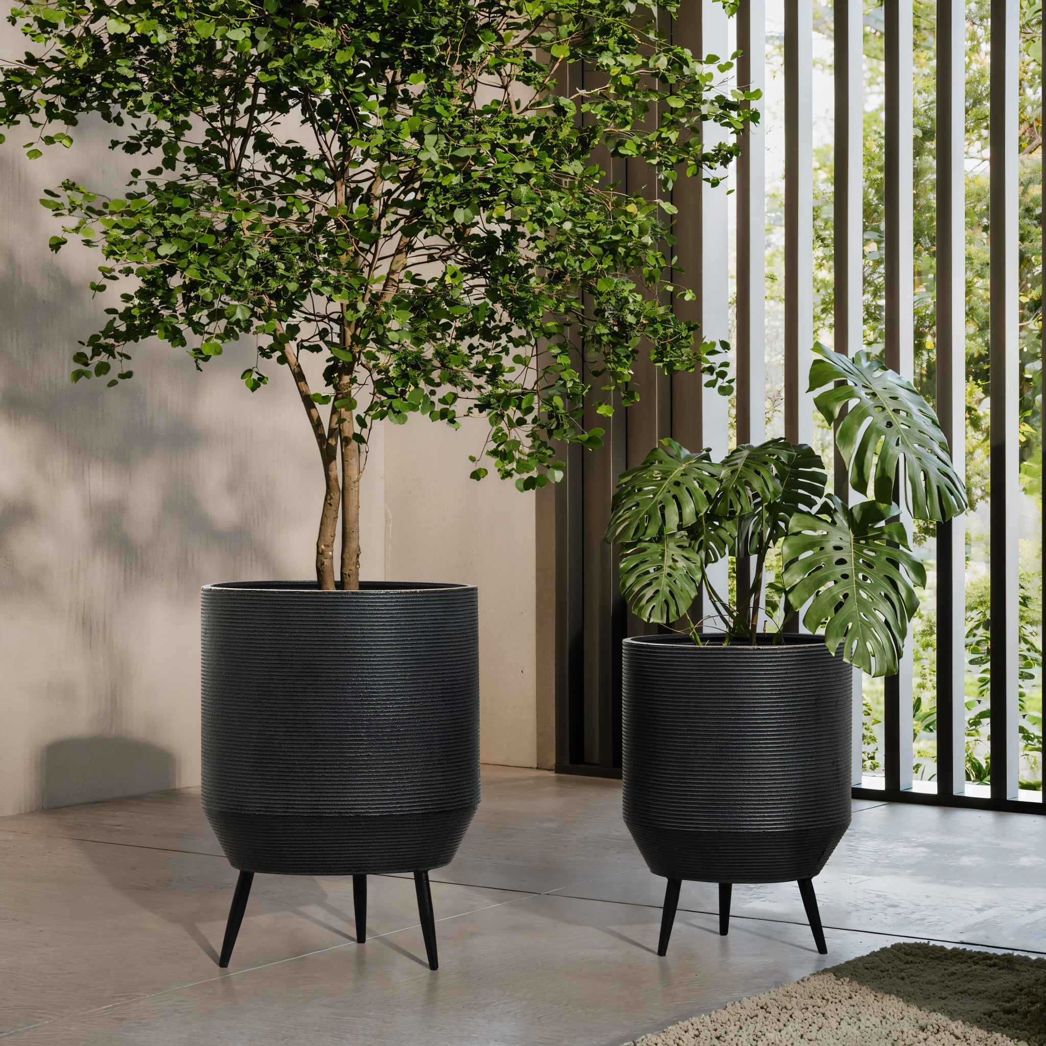 Two tall black planters with green plants stand on a patio. One contains a leafy tree, and the other hosts a large-leafed plant. The pot planter set, in distressed black finish, contrasts beautifully against the vertical slats that provide a backdrop.