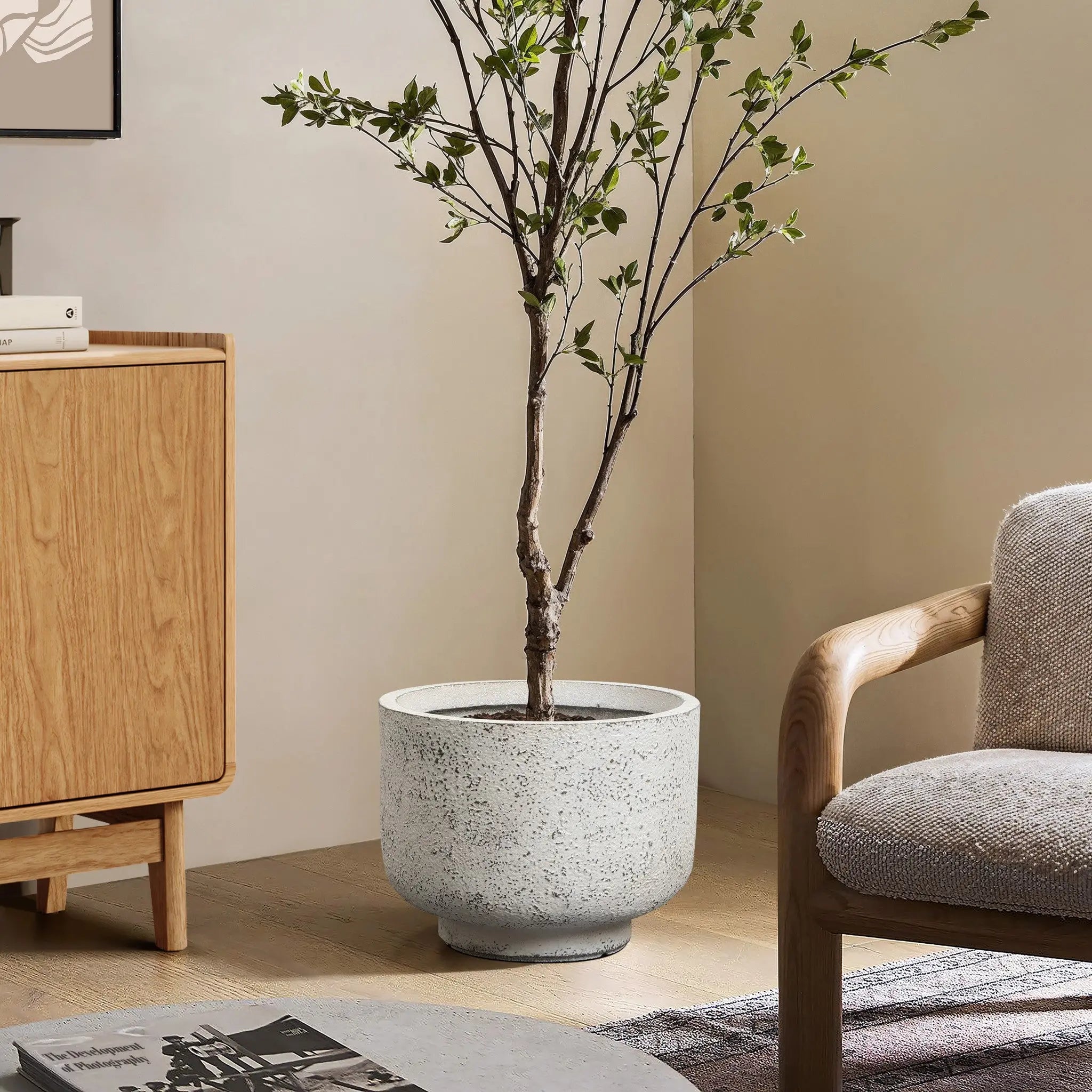 A potted tree with slender branches and green leaves in a weather-resistant planter sits on a wooden floor beside a wooden cabinet and a cushioned chair.