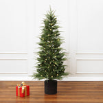 Decor 5ft artificial tree in black pot stands on wooden floor ,single red gift box with gold ribbon, sagainst white wall.