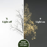 Split image of birch tree: left side shows lights off on white background, right side shows tree glowing warmly in the dark. Text reads 1020 warm white led lights.