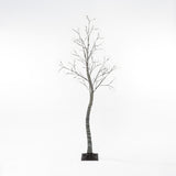 Leafless birch artificial tree with slender trunk, bare branches stands on small square base.