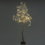 Birch artificial tree with slender trunk, branches, adorned with numerous small warm white led lights,  against dark background