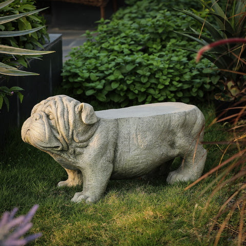 Farmstead garden statue, pug