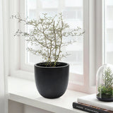 Essentia indoor/outdoor planter, round, small - LuxenHome