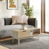 Zahra rattan coffee table with storage - LuxenHome