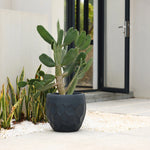 A potted cactus in a sleek geometric pot planter stands proudly in front of a modern building entrance with a glass door, highlighting its versatility for both indoor and outdoor use.