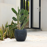 A potted cactus in a sleek geometric pot planter stands proudly in front of a modern building entrance with a glass door, highlighting its versatility for both indoor and outdoor use.