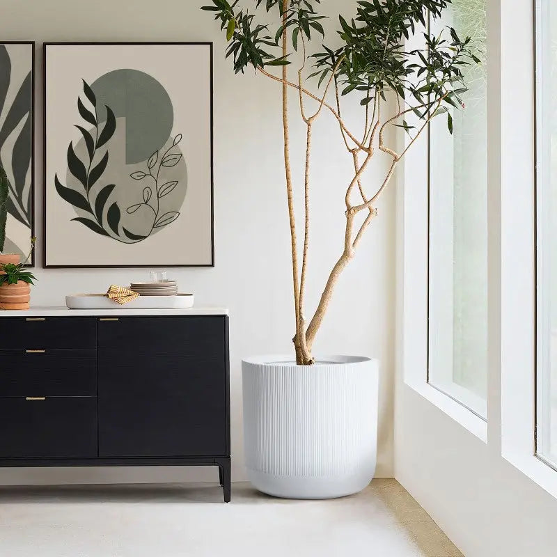 From Garden to Living Room: How to Bring the Outdoors Inside