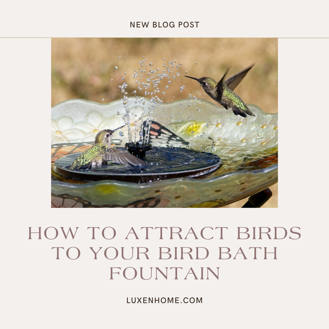 how-to-attract-birds-to-your-bird-bath-fountain